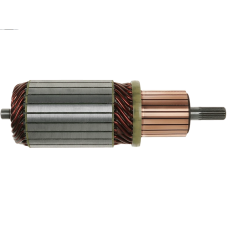 Якір стартера 12V SA6005 AS